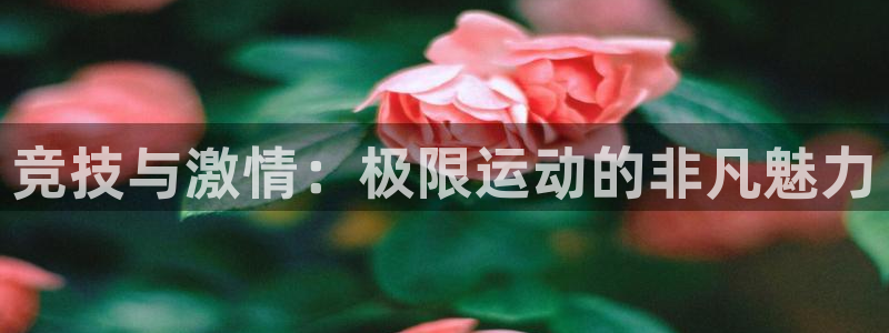 哈哈体育下载：竞技与激情：极限运动的非凡魅力