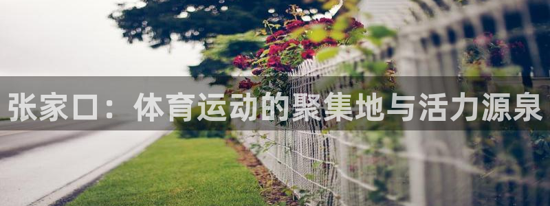 哈哈体育：张家口：体育运动的聚集地与活力源泉