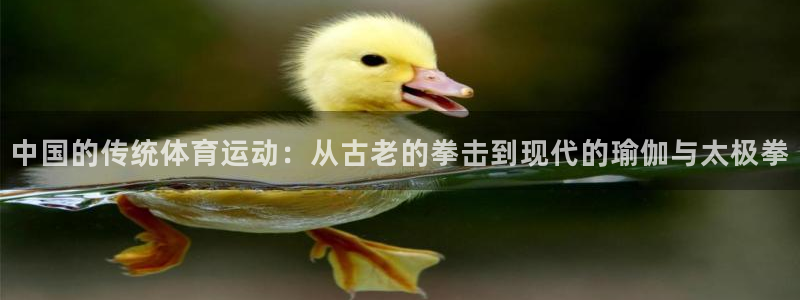 哈哈体育十年：中国的传统体育运动：从古老的拳击到现代的瑜伽与太极拳