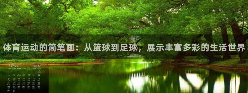 哈哈体育十年：体育运动的简笔画：从篮球到足球，展示丰富多彩的生活世界