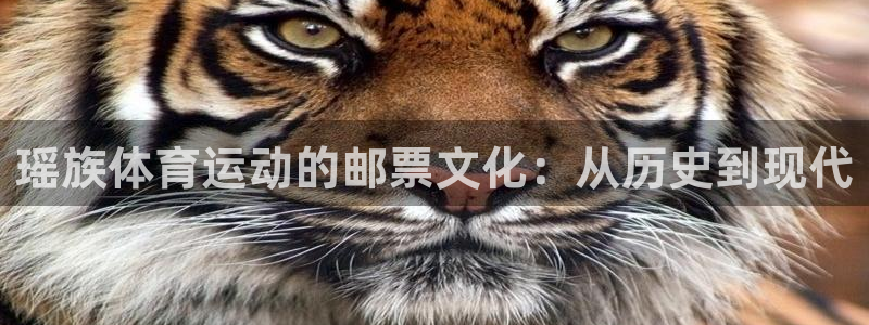 哈哈体育十年：瑶族体育运动的邮票文化：从历史到现代